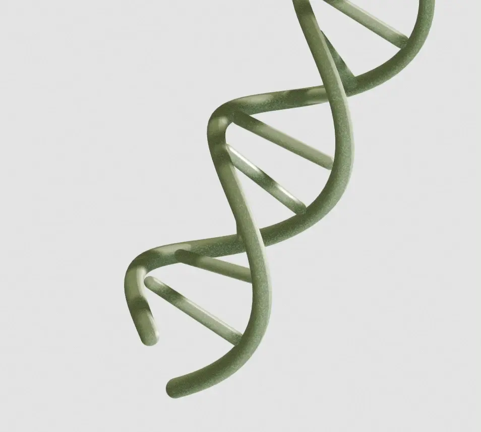 dna